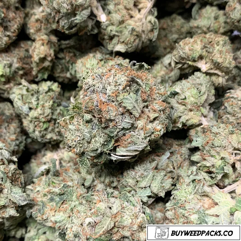 AFGHAN KUSH
