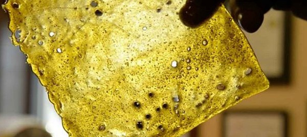 Rosebud Shatter is, its features, appearance and flavour profile, plus important UK information about THC concentrates and cannabis regulations.