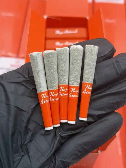 Sherbinski Pre Rolls - Image 2